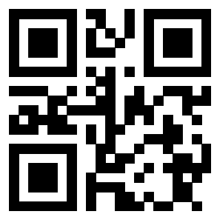 3913671110 QrCode associato