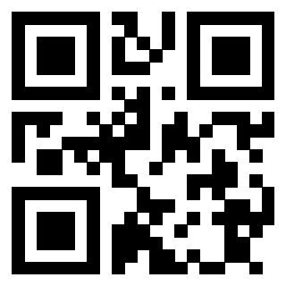 Il Qr Code di 3913671116