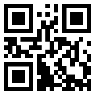 Il Qr Code di 3913671207