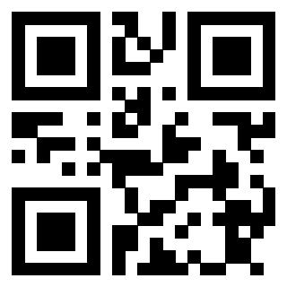 Il Qr Code di 3913671318