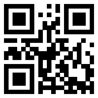 3913671333 QrCode associato