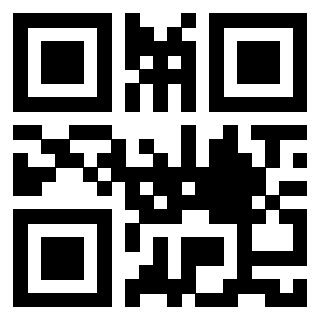 Il Qr Code di 3913671424