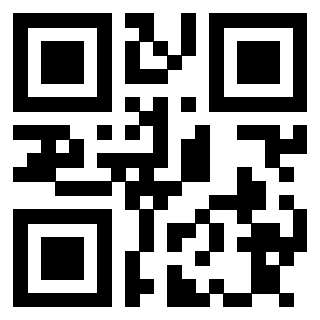 Il Qr Code di 3913671441