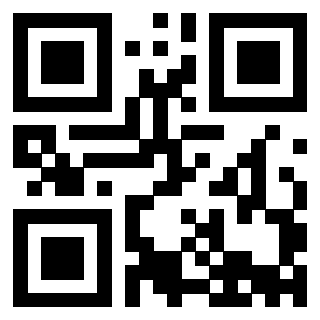 Il Qr Code di 3913671469