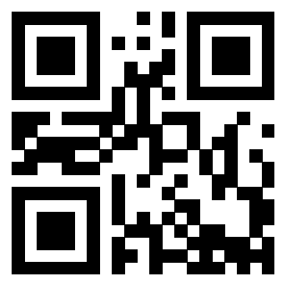 Il Qr Code di 3913671505