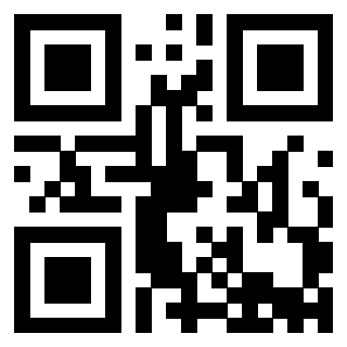 Il Qr Code di 3913671519