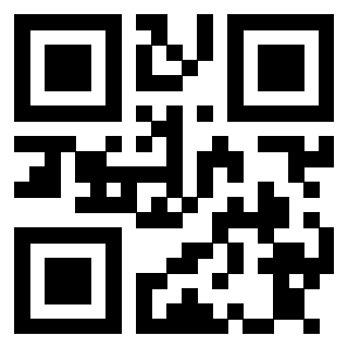 Il Qr Code di 3913671529