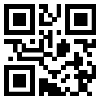 Il Qr Code di 3913671570