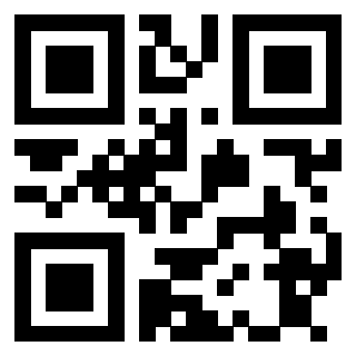 Il Qr Code di 3913671598
