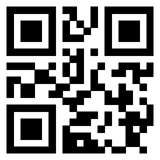 Il Qr Code di 3913671633