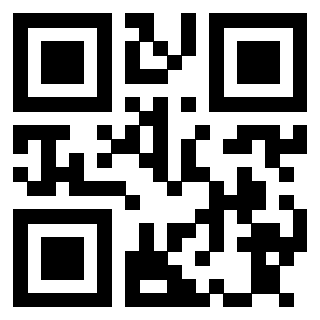Il Qr Code di 3913671635
