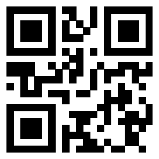 Il Qr Code di 3913671785