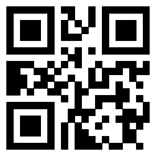 Il Qr Code di 3913671798