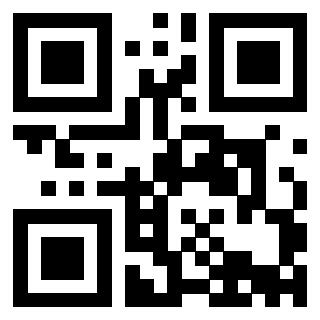 Il Qr Code di 3913671848
