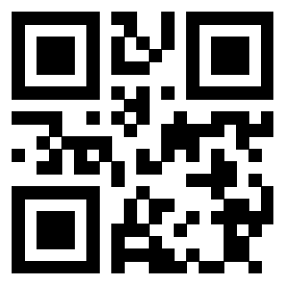 Il Qr Code di 3913671862