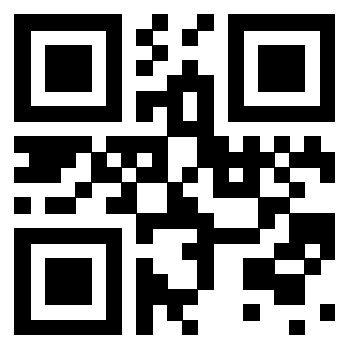 Il Qr Code di 3913671866