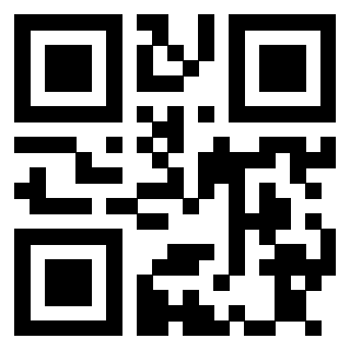 Il Qr Code di 3913671877