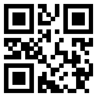 Il Qr Code di 3913671900