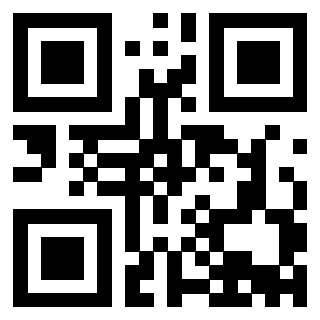 Il Qr Code di 3913689251