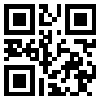 3913689335 QrCode associato