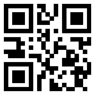 3913689336 QrCode associato