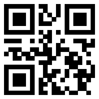 3913689343 Qr Code associato