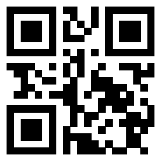 Il Qr Code di 3913689368