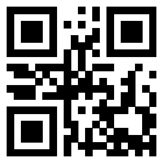 Il Qr Code di 3913689483