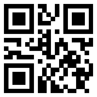 Il Qr Code di 3913689529
