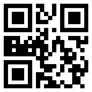 Il Qr Code di 3913689553