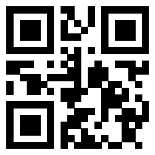 3913689587 QrCode associato