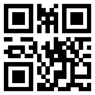 Il Qr Code di 3913689605