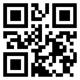 Il Qr Code di 3913689615