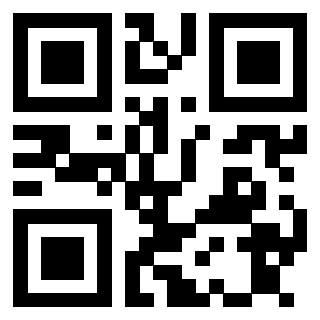 Il Qr Code di 3913689644