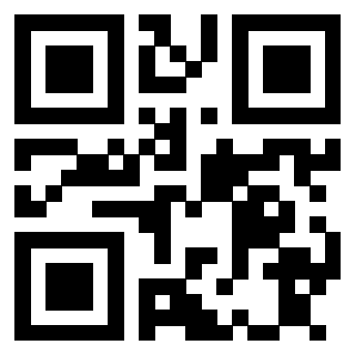 Il Qr Code di 3913689817