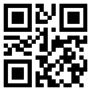 Il Qr Code di 3913689821