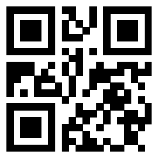 Il Qr Code di 3913689831