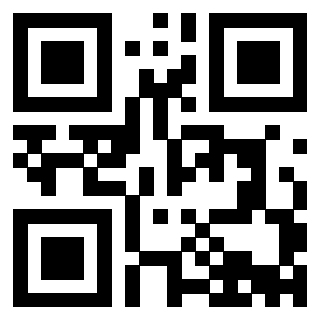 Il Qr Code di 3913689878