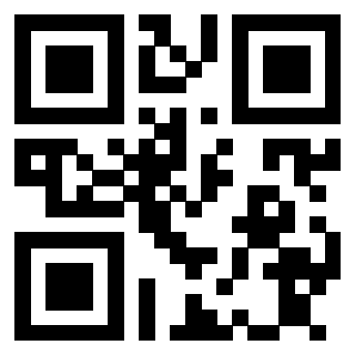 Il Qr Code di 3913689953