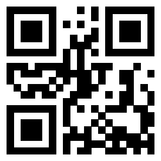 Il Qr Code di 3913689958