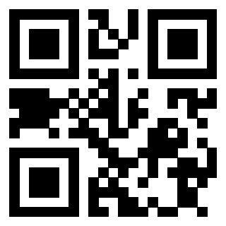 Il Qr Code di 3913689965
