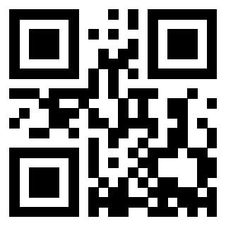 Il Qr Code di 3913689971