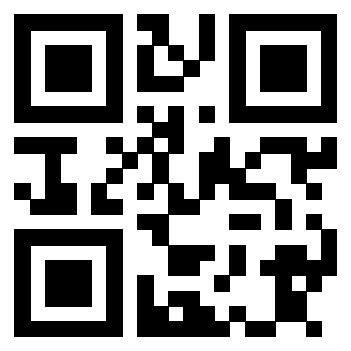 Il Qr Code di 3913690113
