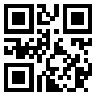 Il Qr Code di 3913728973