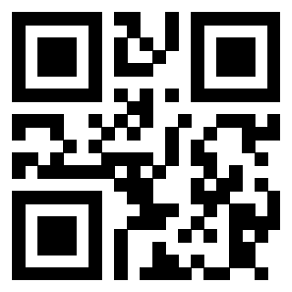 3913729066 QrCode associato