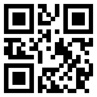 3913729100 QrCode associato