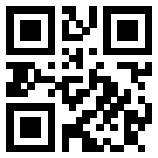 3913729389 QrCode associato