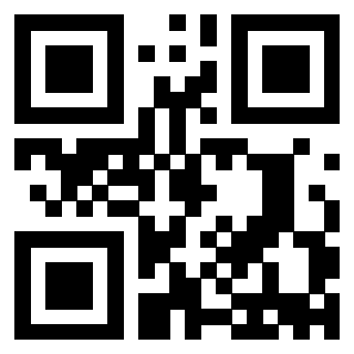 Il Qr Code di 3913729651