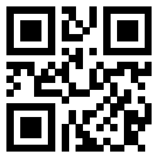 3913729750 QrCode associato