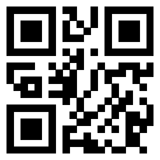 Il Qr Code di 3913729770